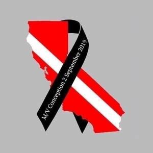 Meet your Posher, Dave